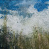 Tall Grass, Sound of Sky 